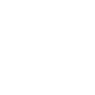 BlueSky Social Media Icon